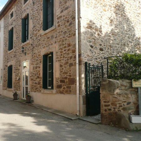 Les Terres Basses Otel Fabrezan Dış mekan fotoğraf