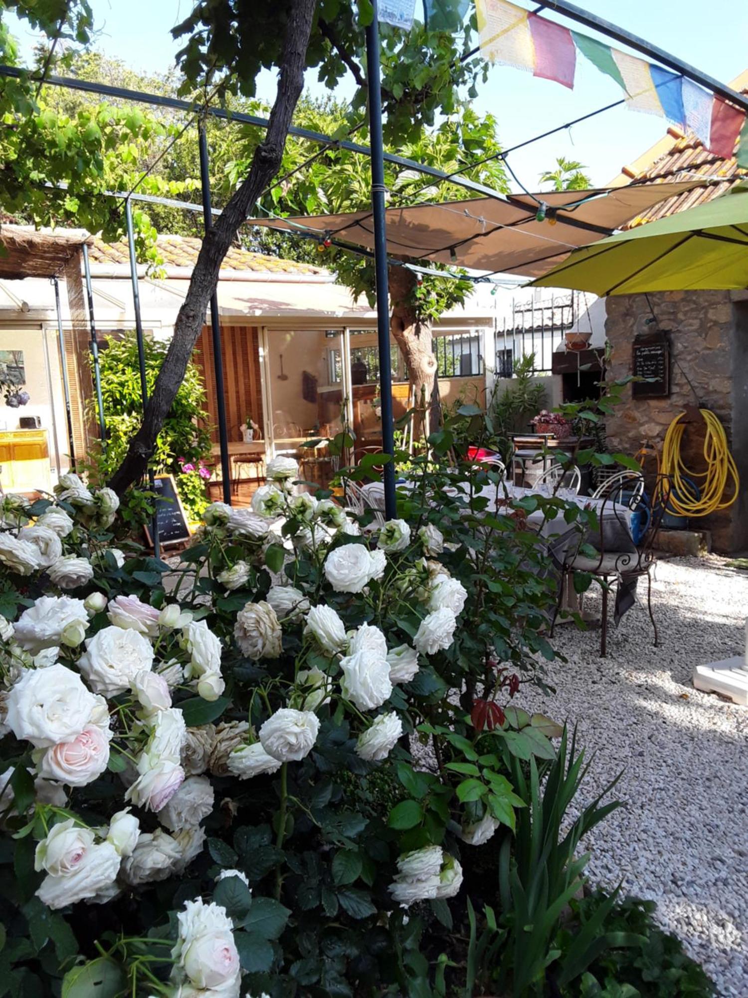 Les Terres Basses Otel Fabrezan Dış mekan fotoğraf